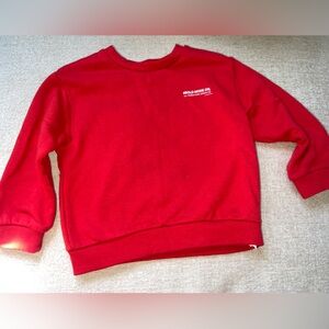 Zara Red long sleeve sweater toddler